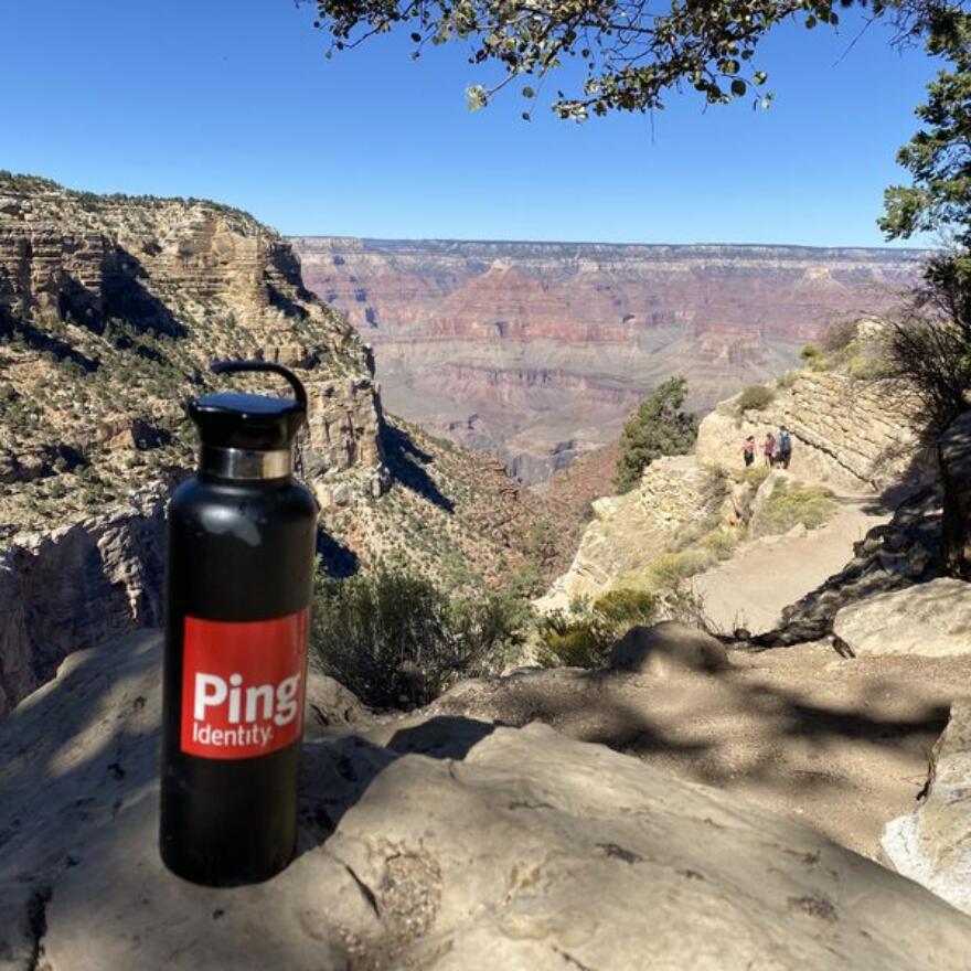 ping_water